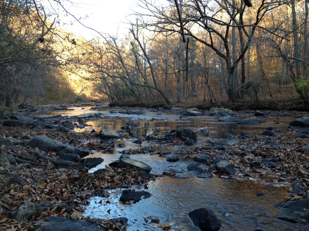 The Eno River at dusk in autumn