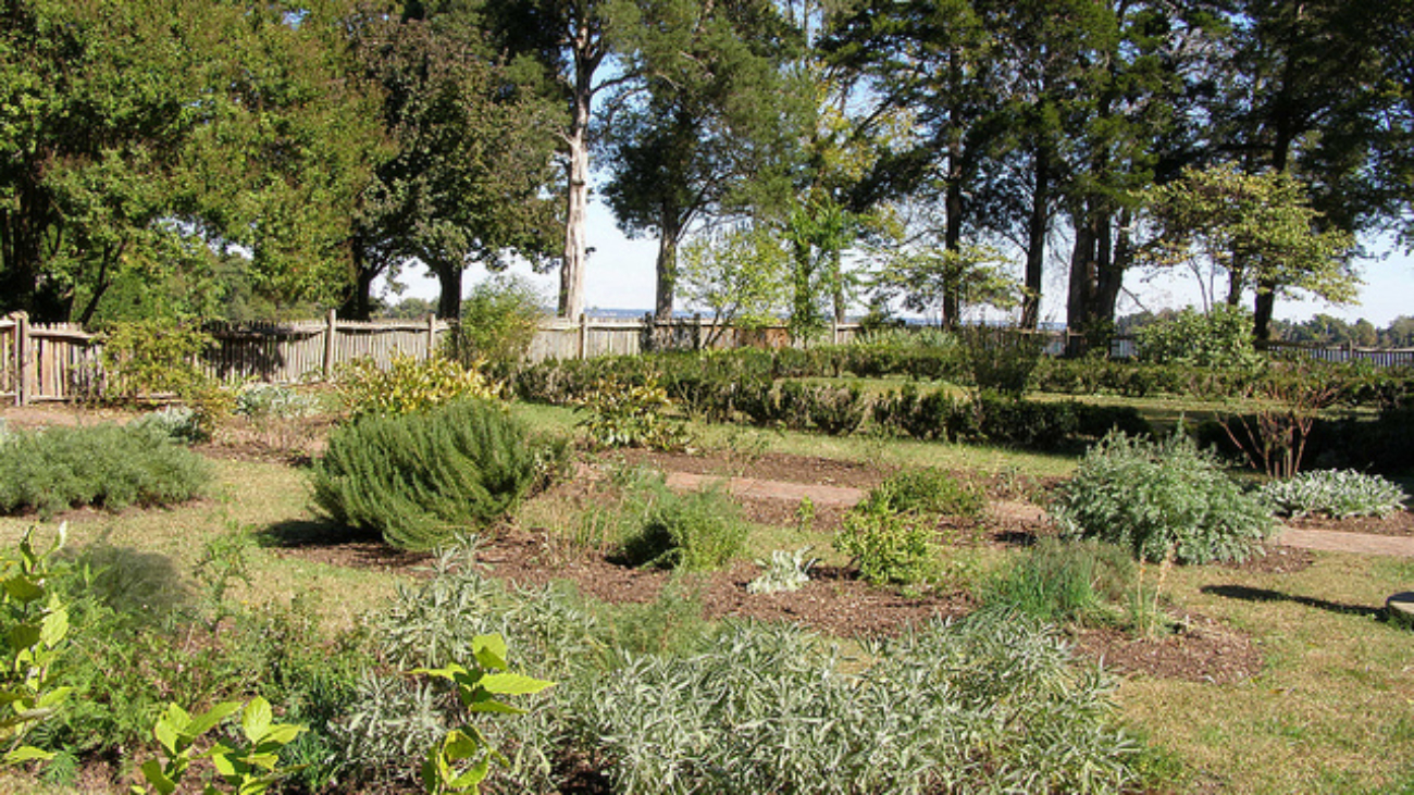 herb garden