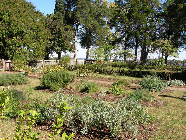herb garden