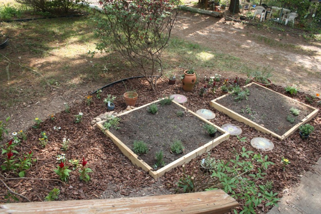 herb garden