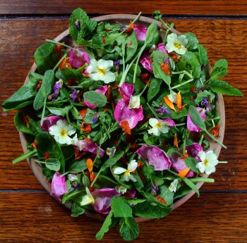 preserved salad